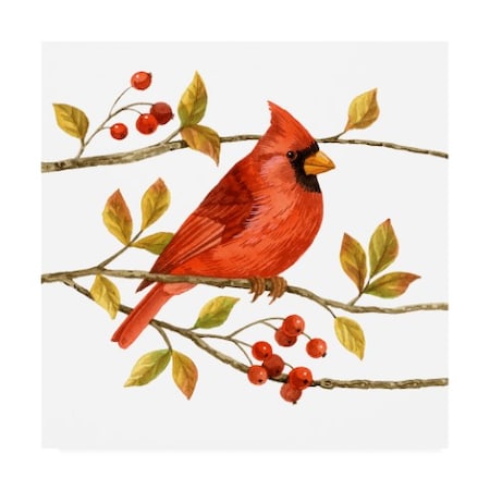 Jane Maday 'Birds And Berries Iii' Canvas Art,14x14